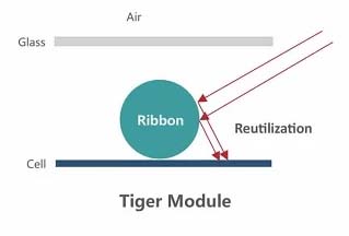 ribbon tròn dòng module tiger